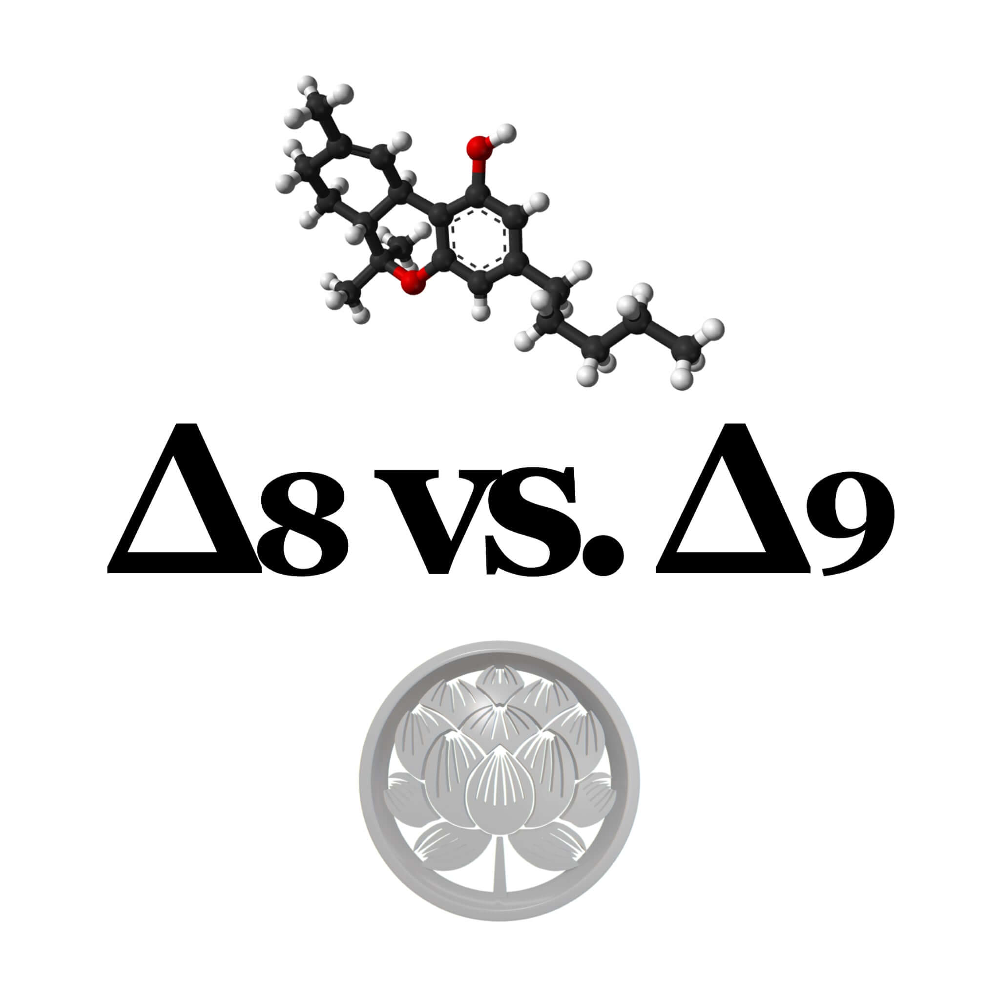 Delta 8 Vs. Delta 9 THC