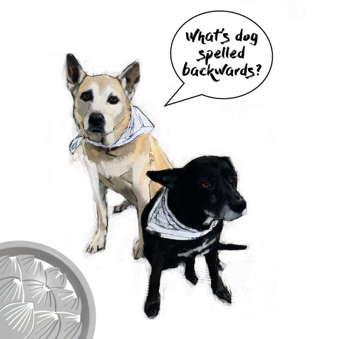 CBD for Dogs