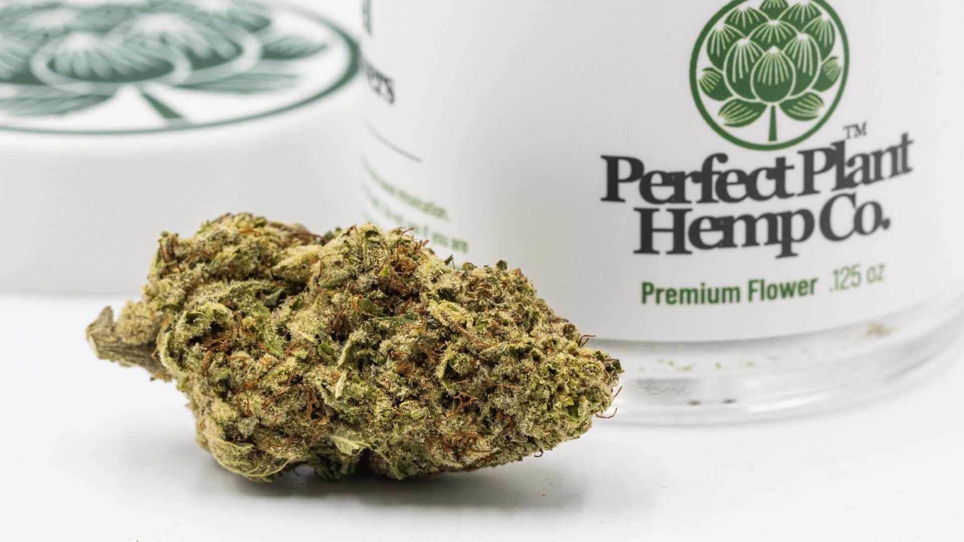 Wedding Cake THCa Strain Review