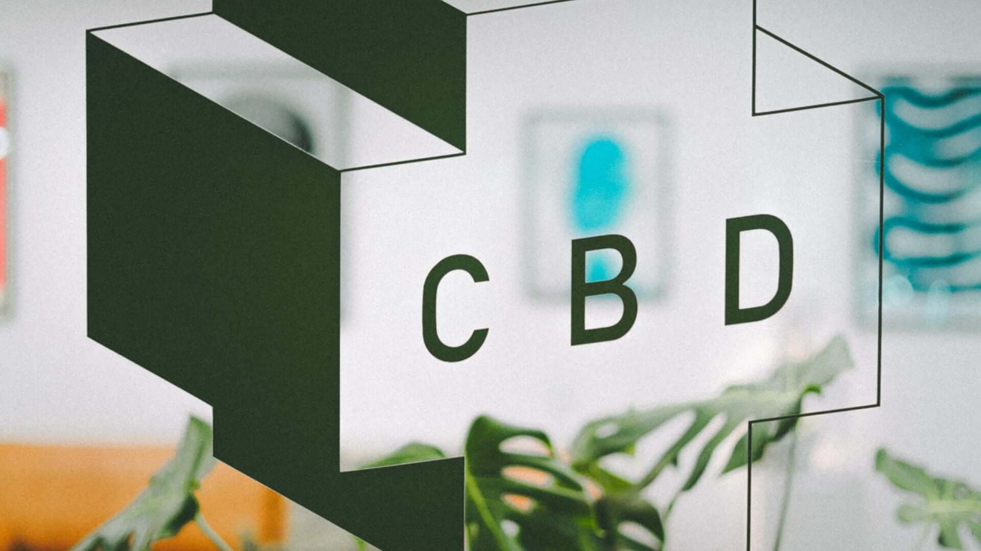 What Are CBD Dog Treats?