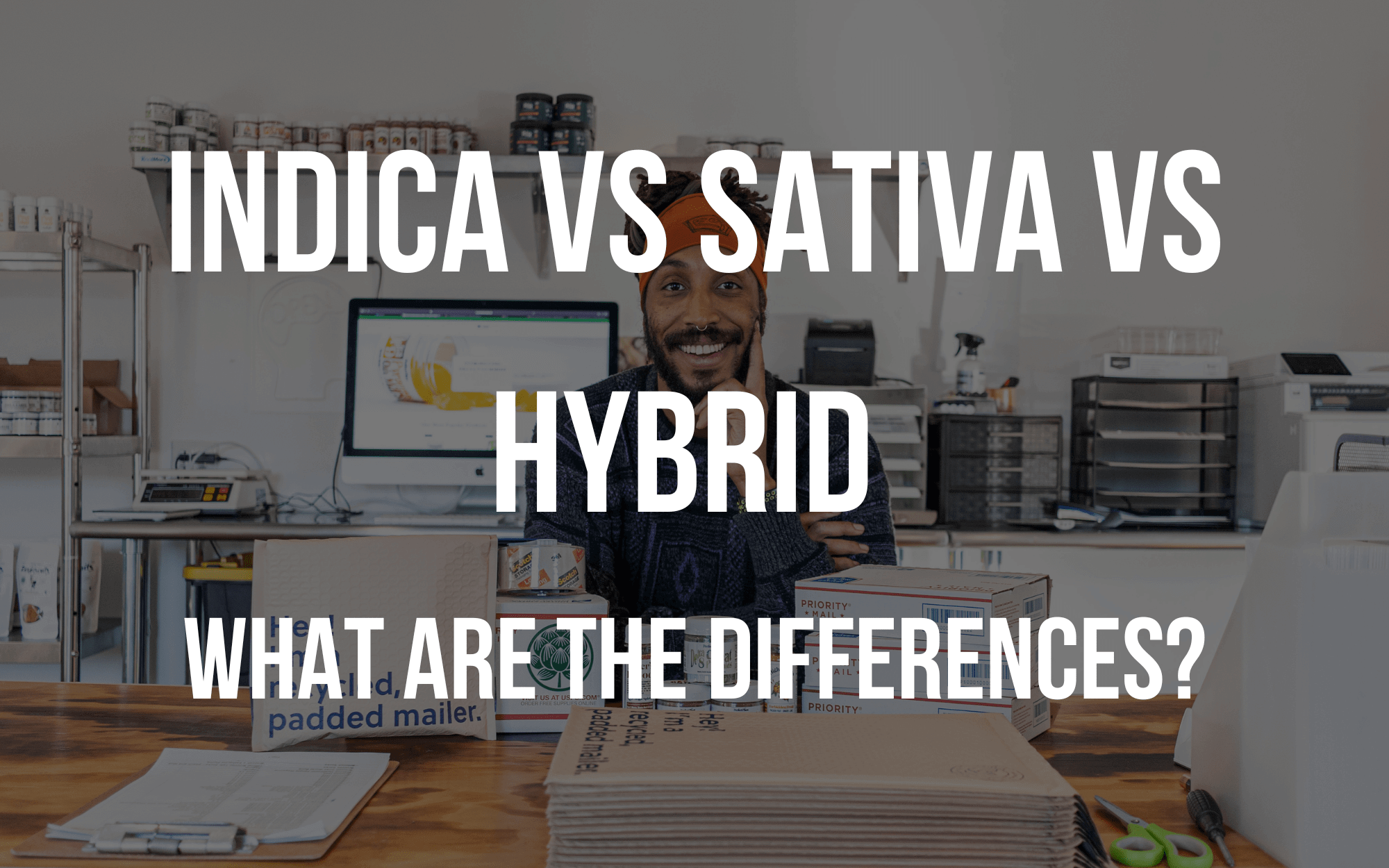 Indica vs Sativa vs Hybrid What Are The Differences