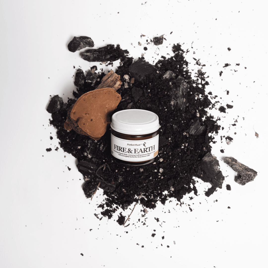 Bringing the Heat into Fall