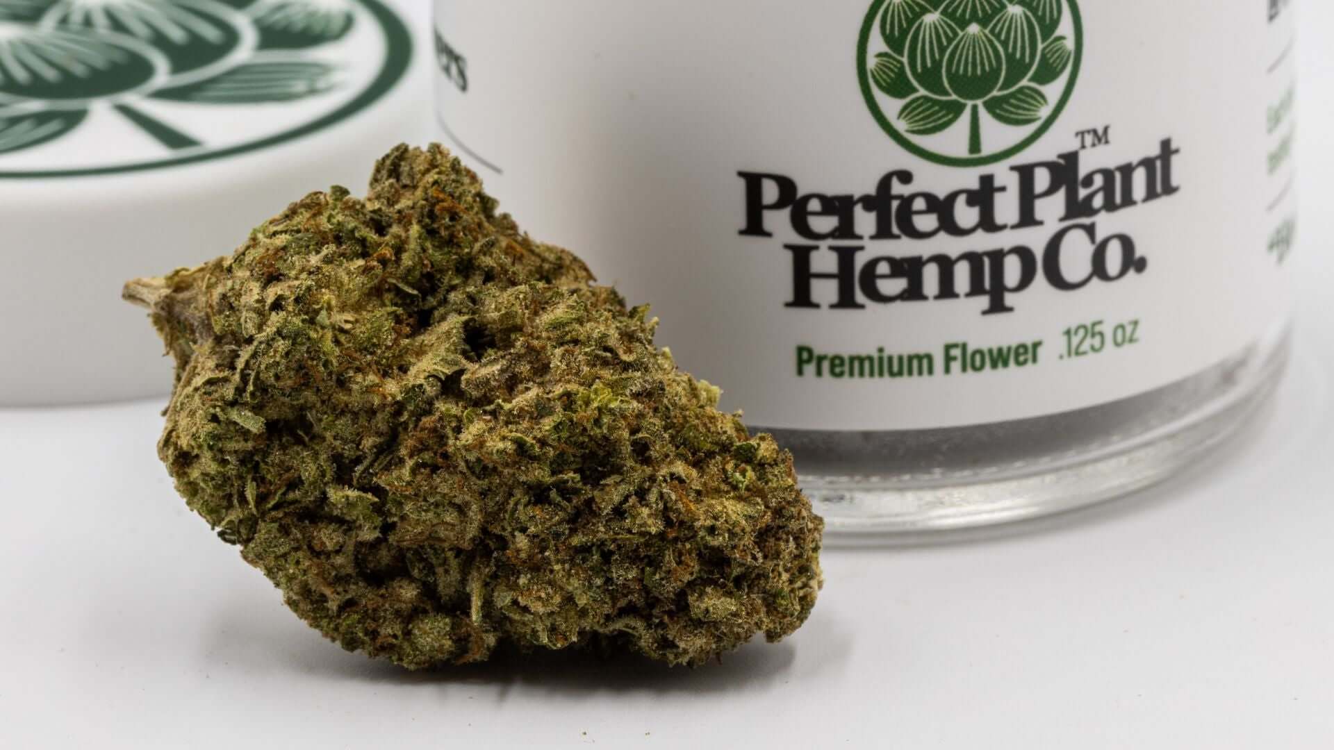 Dump Truck THCa Flower Strain Review