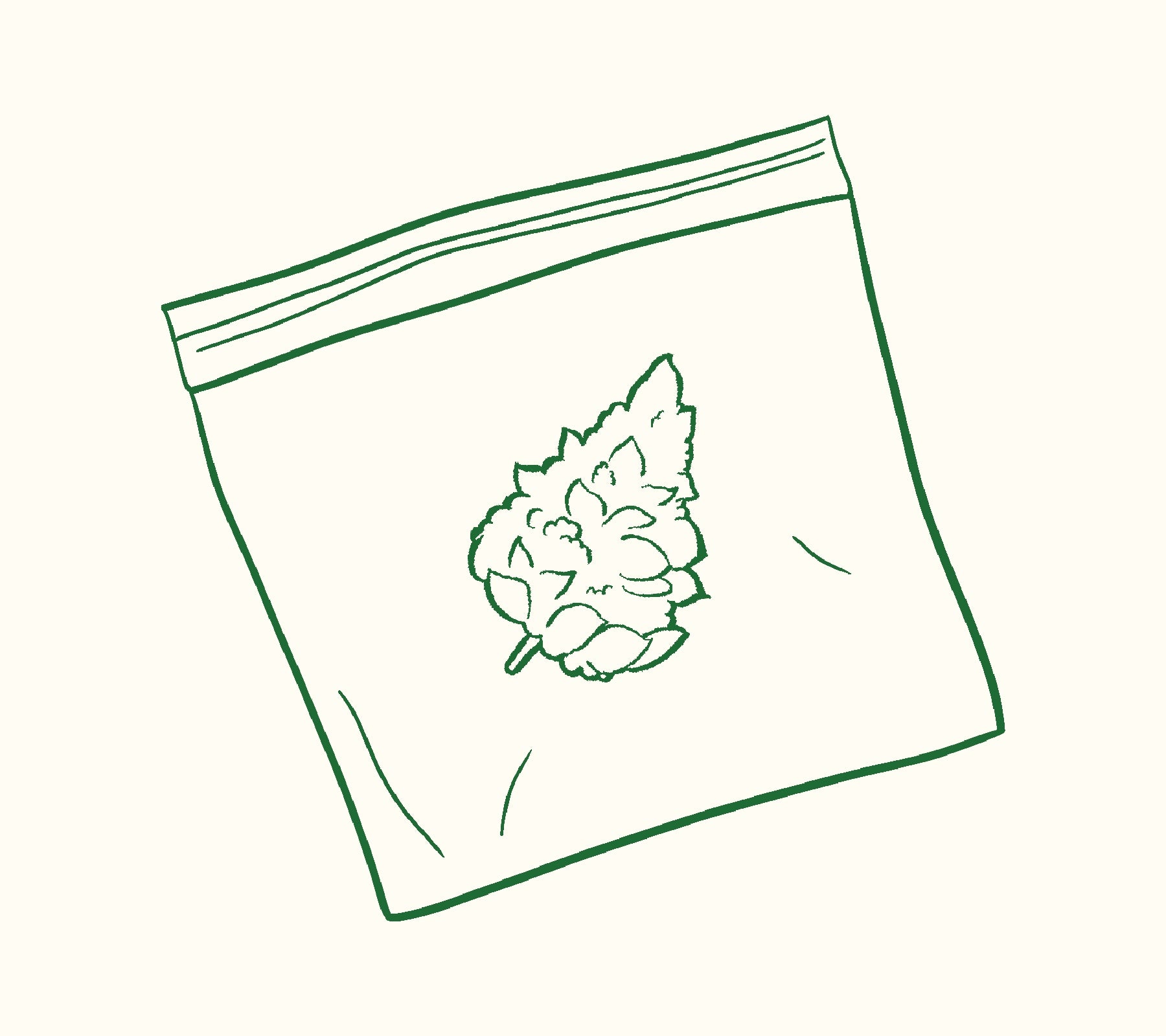 Cannabis Storage: How To Store Weed Properly