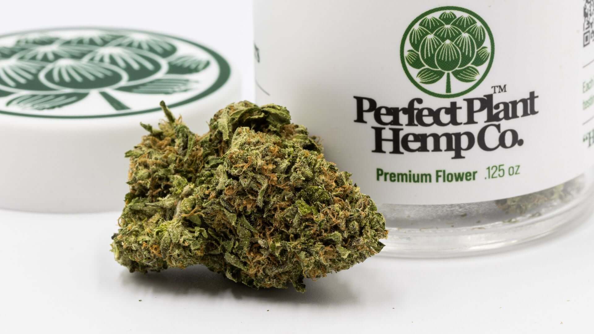 Green Crack THCa Strain Review