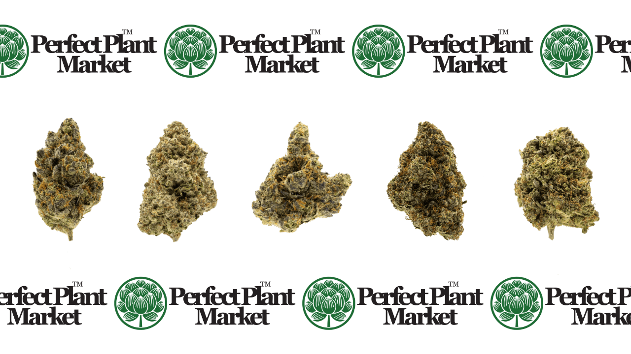 Top 10 THCa Strains You Can Buy Online