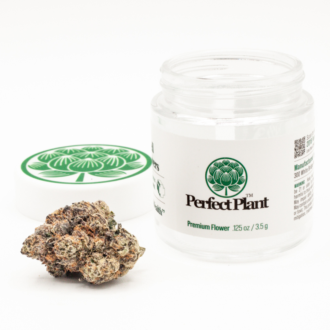 Benni Madonna THCa Flower