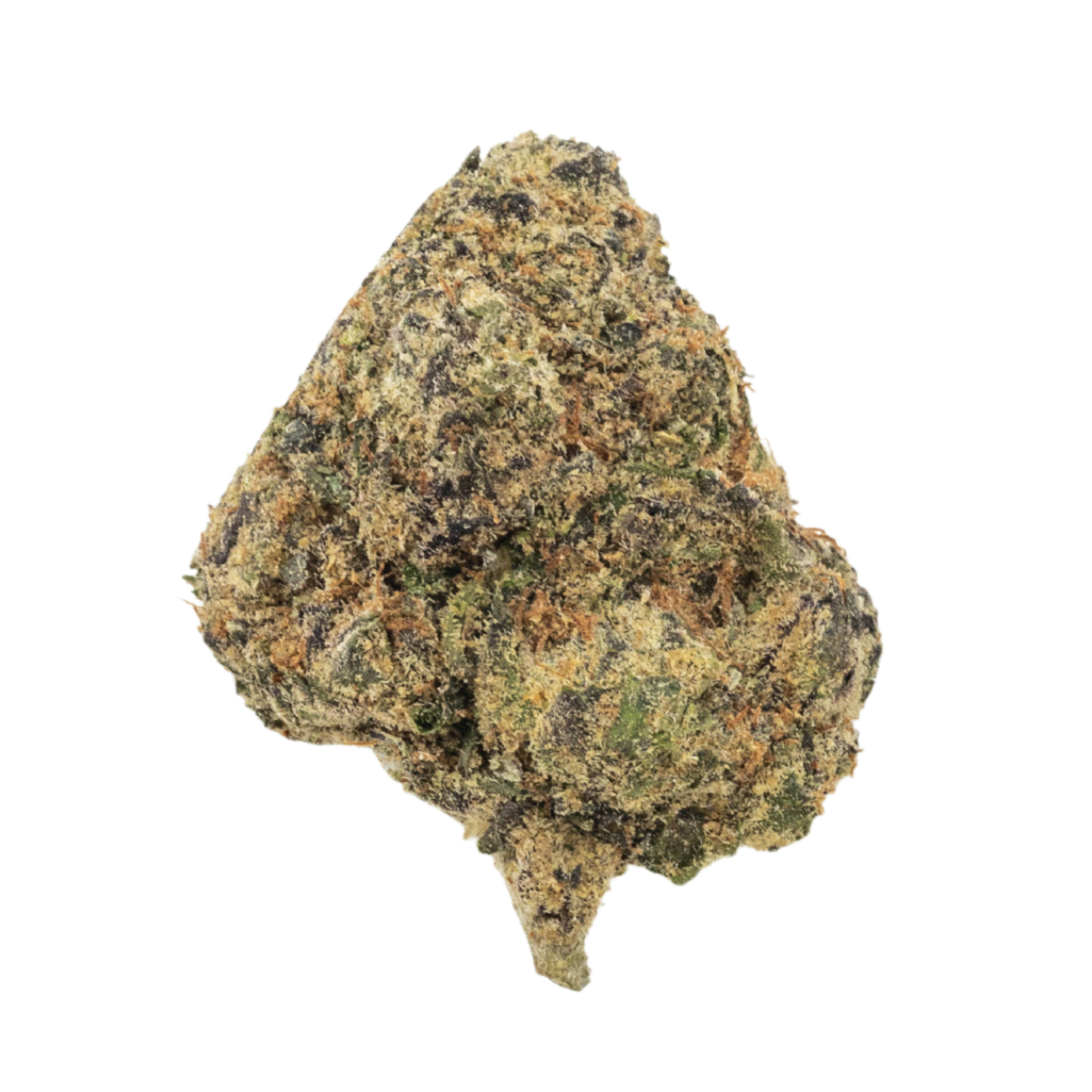 Biscotti THCa Flower