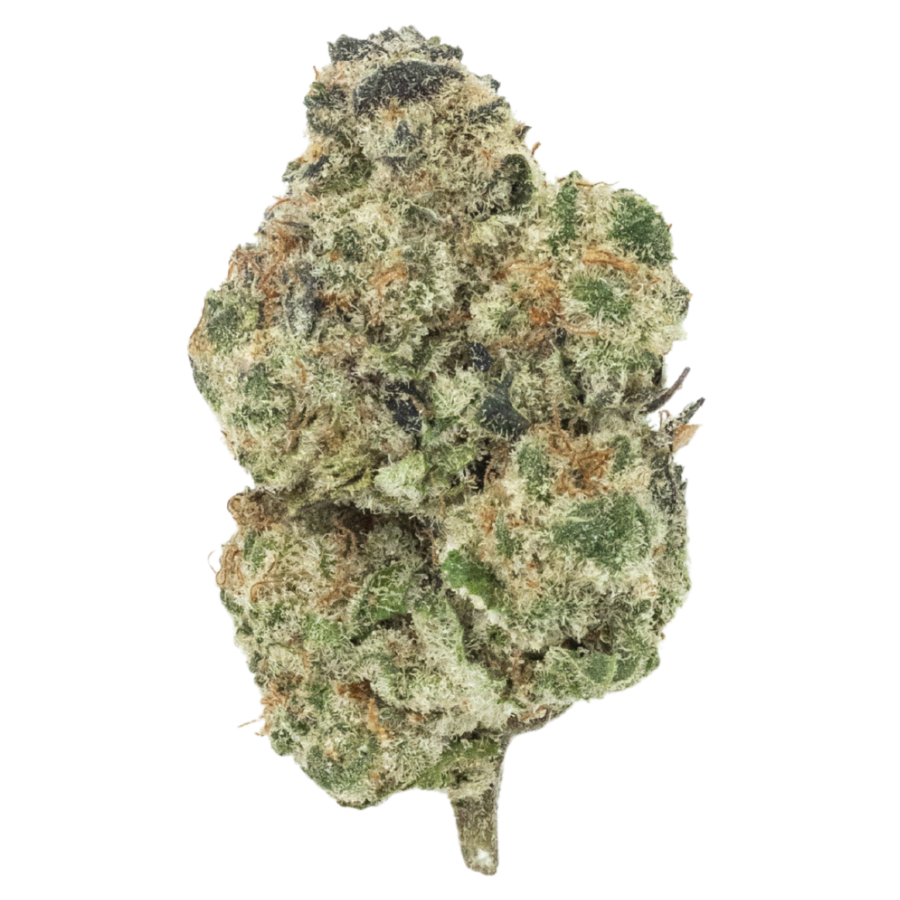 Candyland THCa flower bud close-up, dense green and orange trichome-covered cannabis