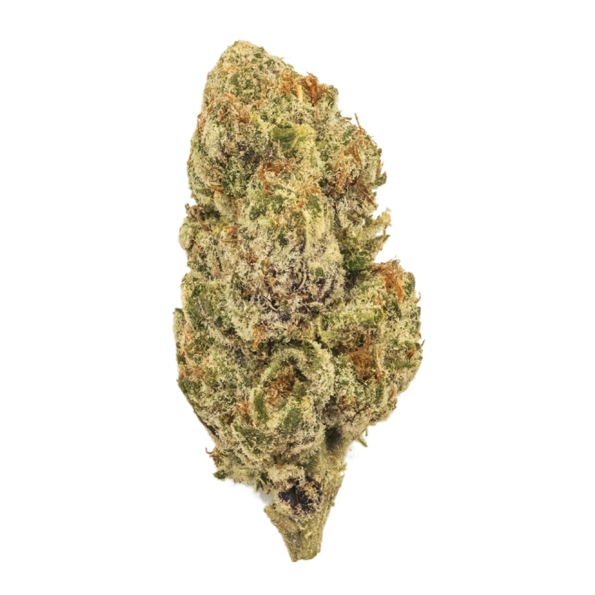 Colombian Gold THCa Flower