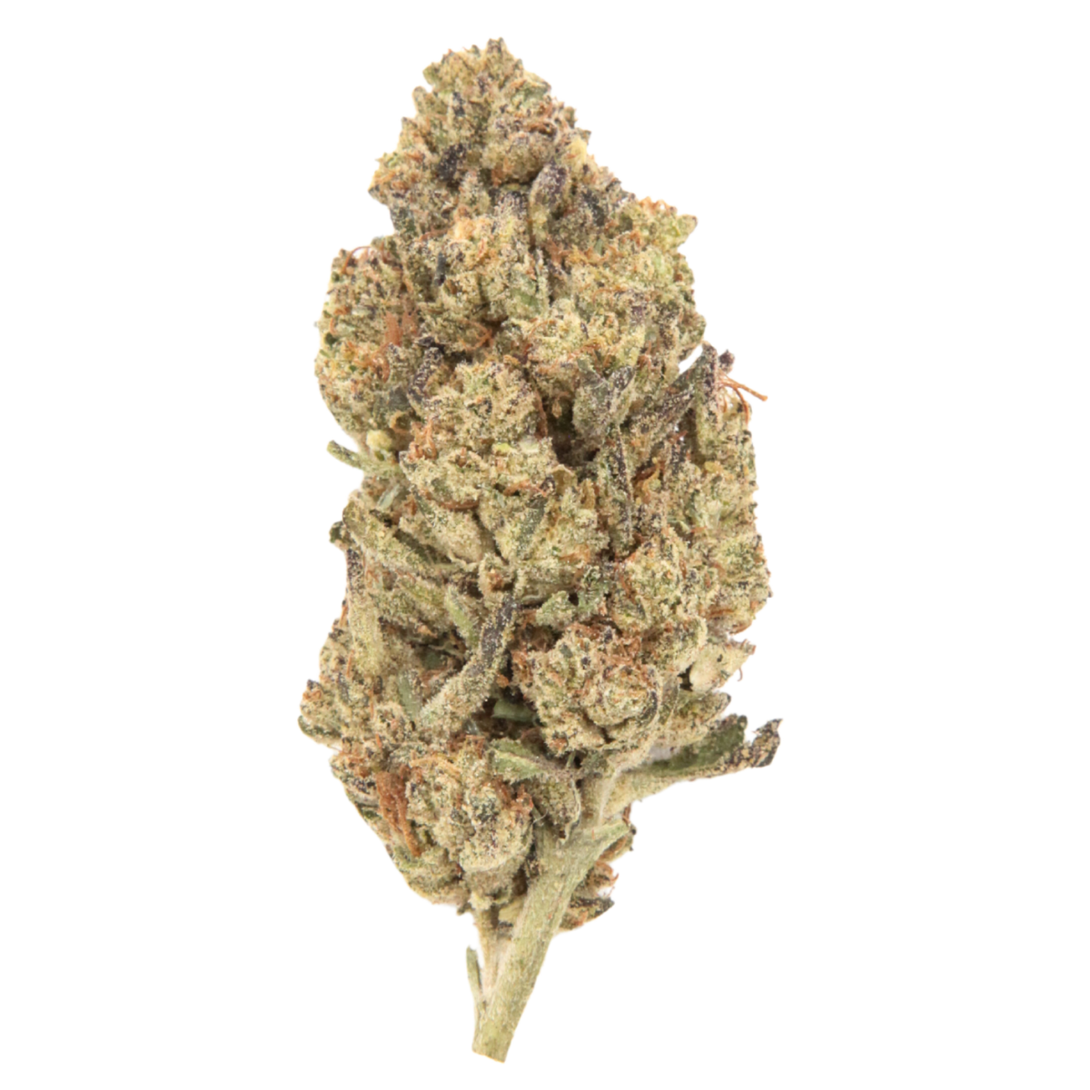 Forbidden Gas THCa Flower