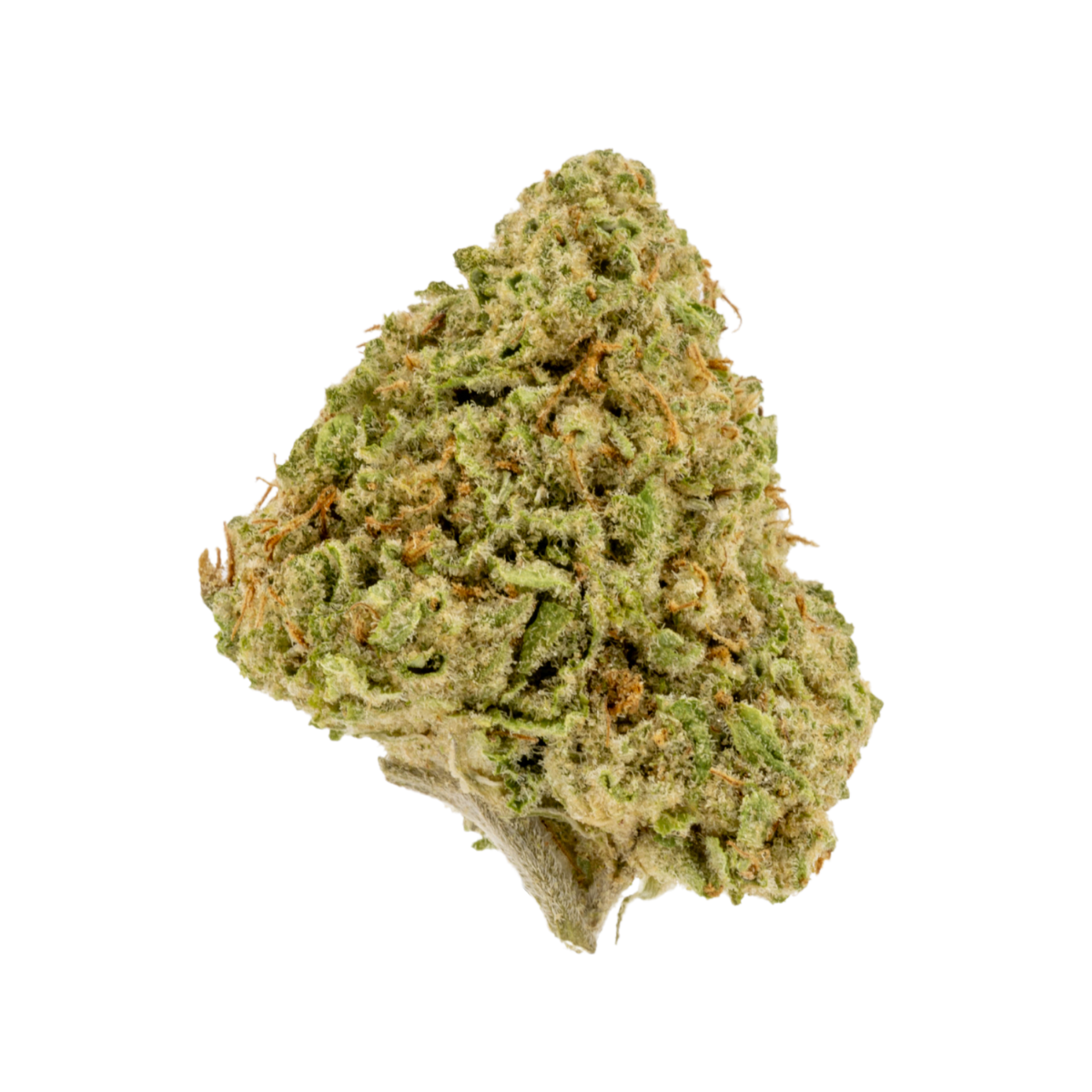 Hard Cider THCa Flower