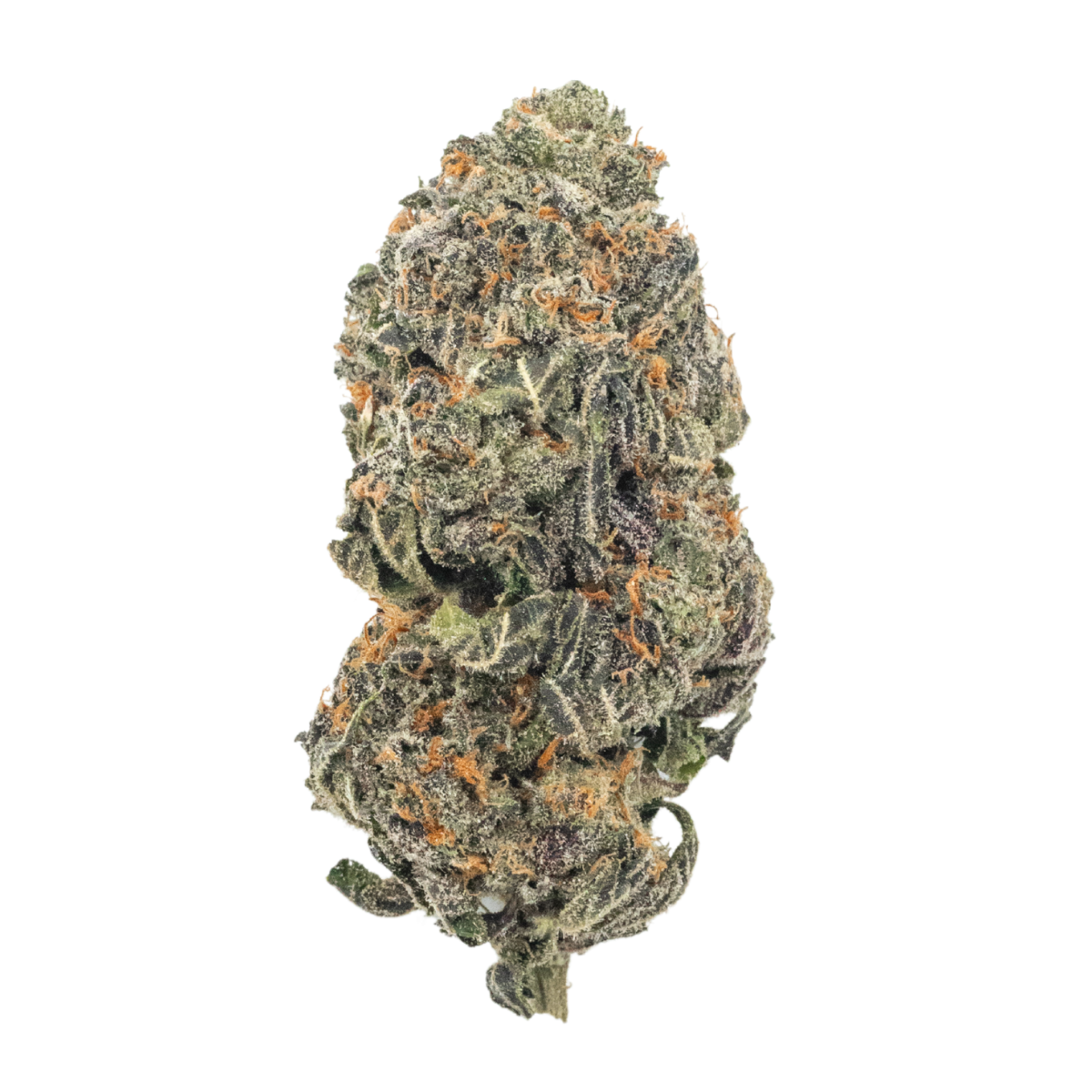 Mule Fuel THCa Flower