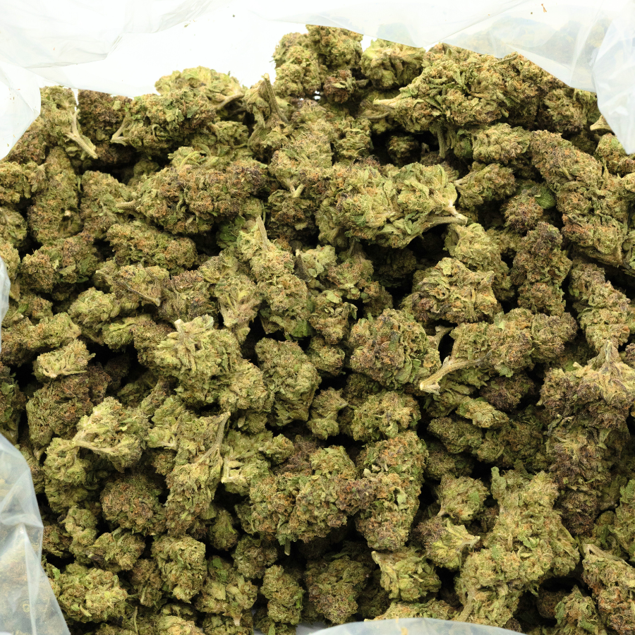 Bulk THCa flower buds with green and orange hues in a clear plastic bag