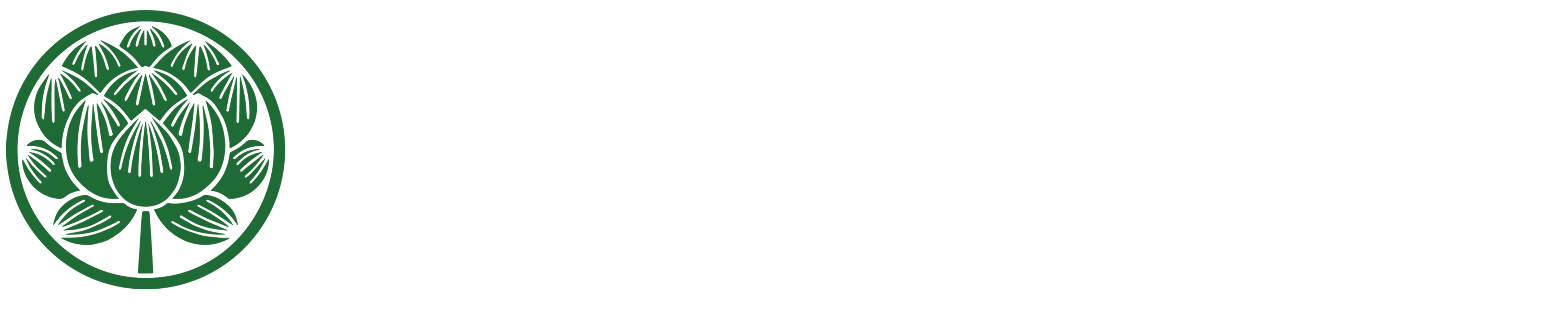 Perfect Plant Online Dispensary