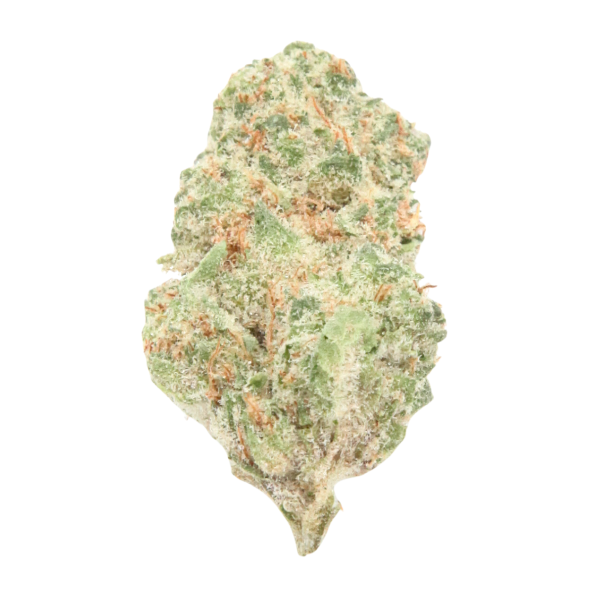 Super Boof THCa Flower