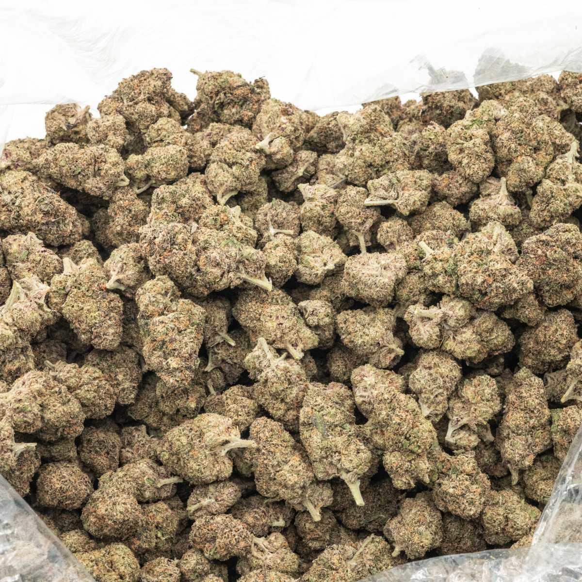 THCa Flower House Choice Subscription – Perfect Plant Market