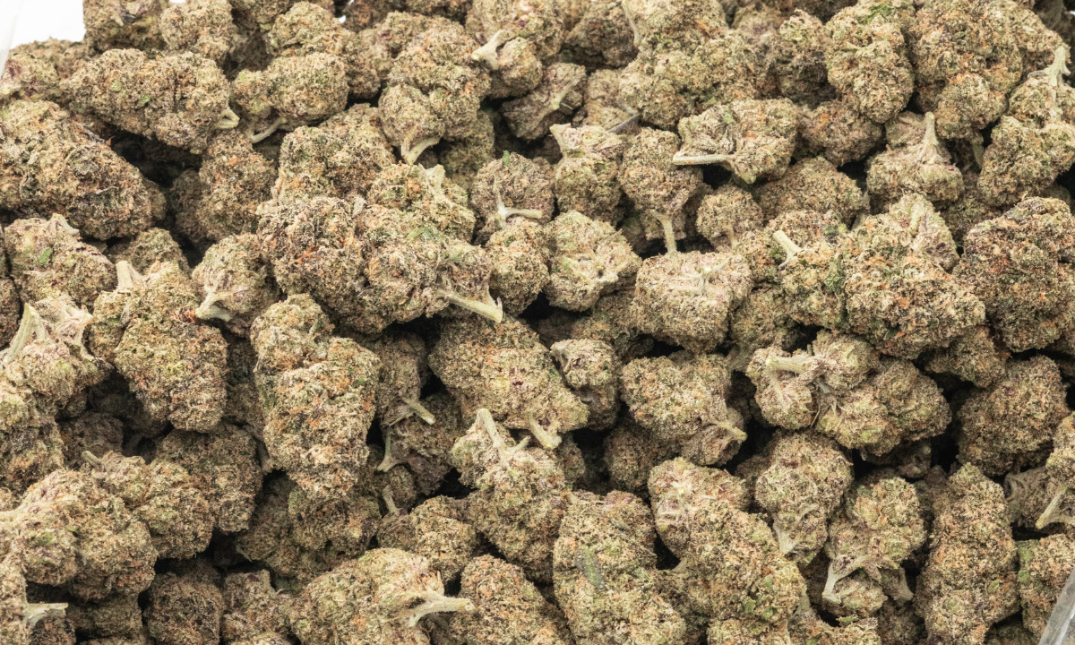 THCa Flower House Choice Subscription