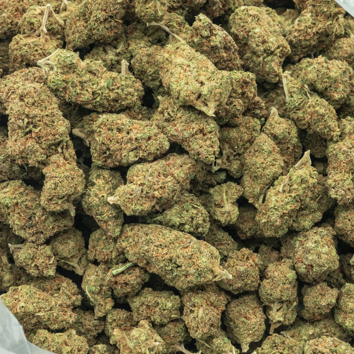 THCa Flower Wholesale by Perfect Plant