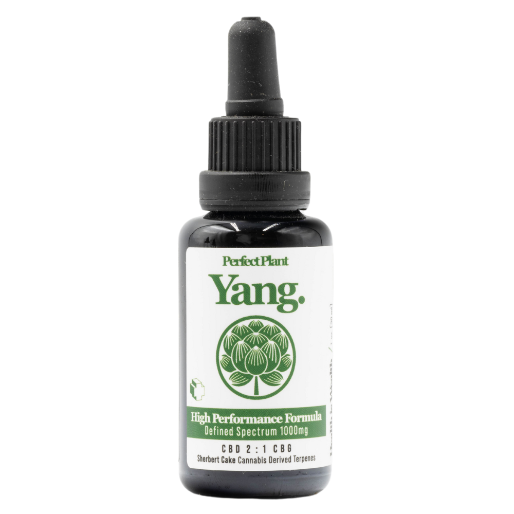 Yang CBD Tincture