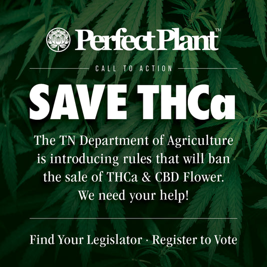 CALL TO ACTION : THCA LAWS