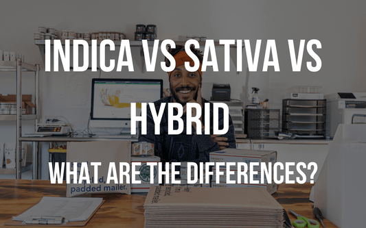 Indica vs Sativa vs Hybrid  What Are The Differences