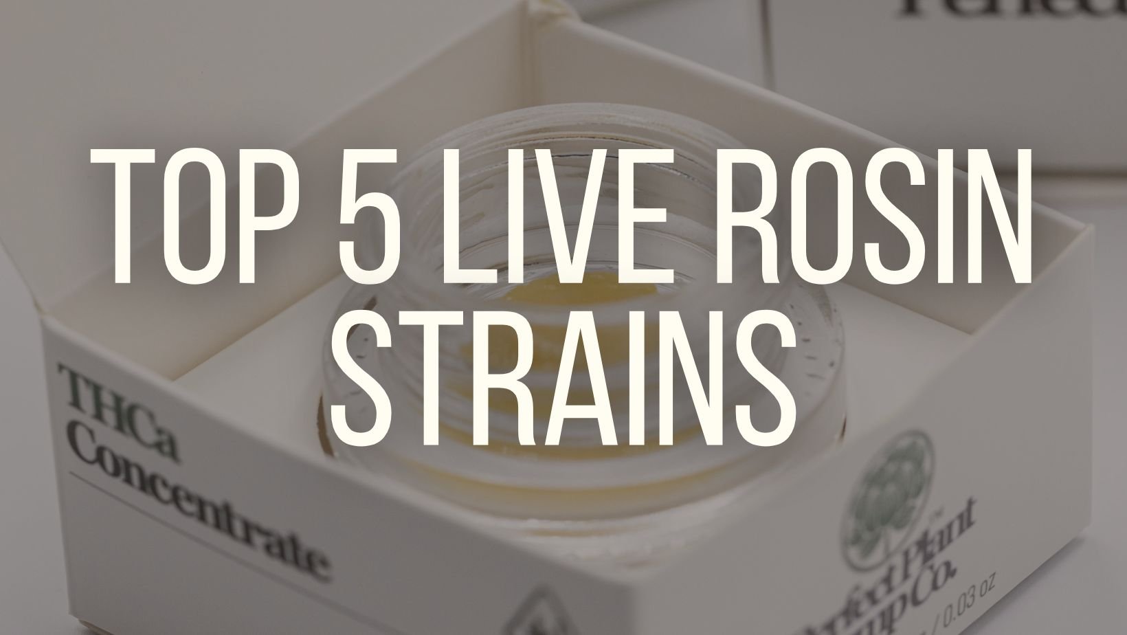 top 5 live rosin strains buy online perfect plant
