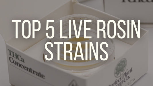 top 5 live rosin strains buy online perfect plant