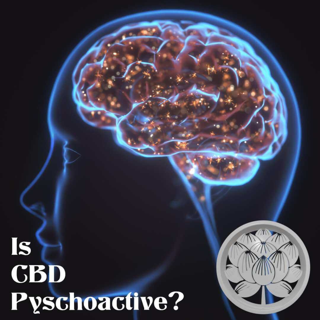 Is CBD Psychoactive?