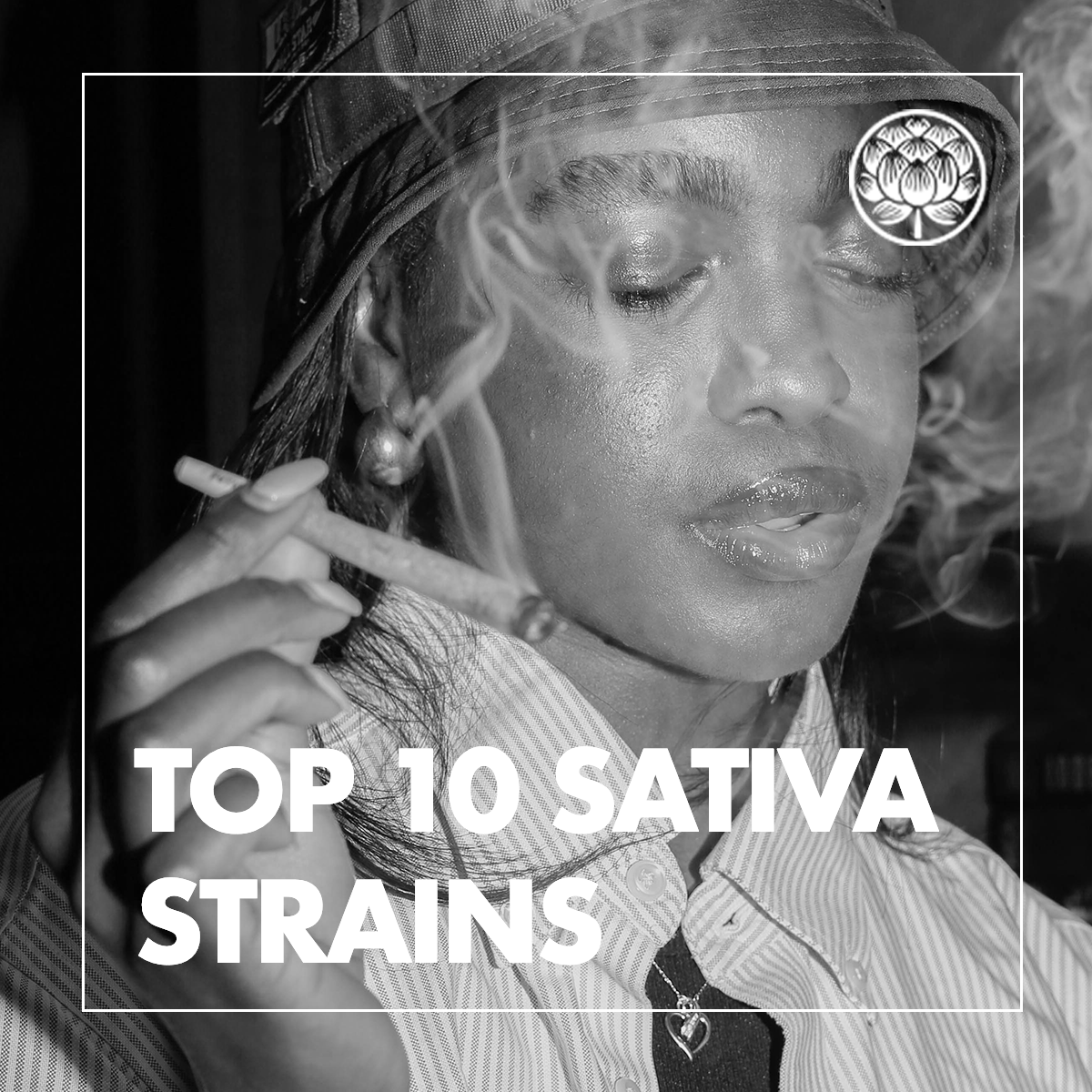 Top 10 Sativa Strains