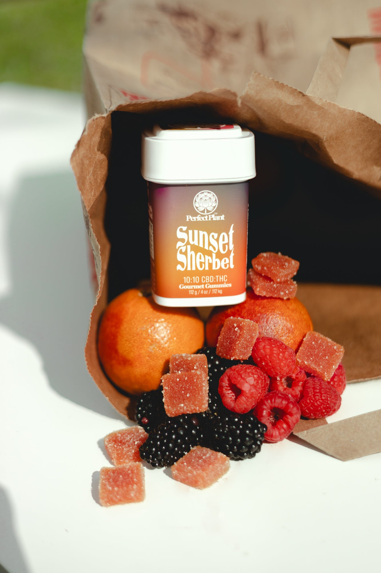 10:10 CBD:THC Gourmet Gummies by Perfect Plant – Perfect Plant Market