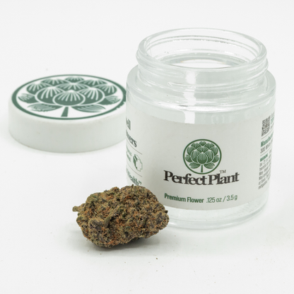 Biscotti THCa Flower