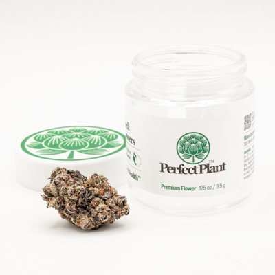 Blue Zushi THCa flower bud beside open white jar on clean white background