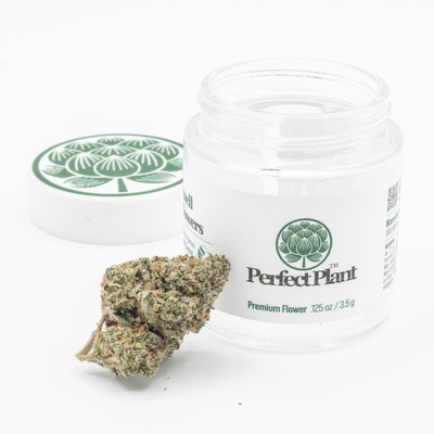 Cherry Cookies THCa Flower by Perfect Plant