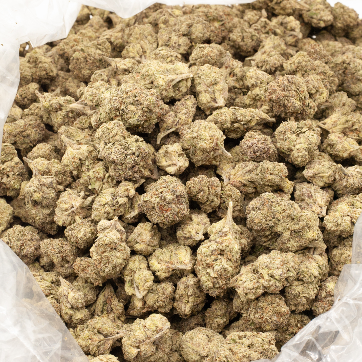 Face OFF OG T HCa Flower