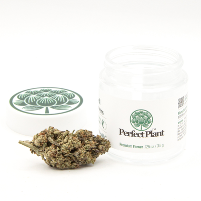 Forbidden Gas THCa Flower