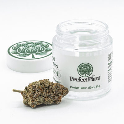 Galactic Warheadz THCa Flower