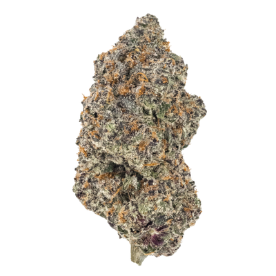 Grape Ape THCa flower bud, dense and frosty with purple and orange hues, on white background