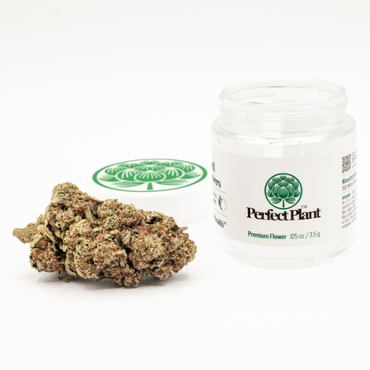 King Louis XIII THCa Flower