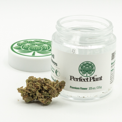 Mac 1 THCa Flower by Perfect Plant