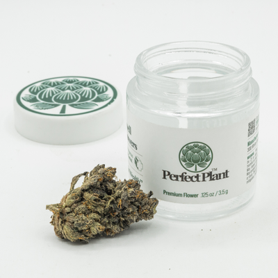 Midnight Z THCa Flower