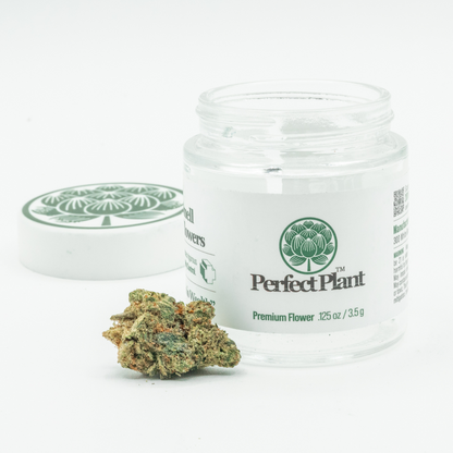 Music City Runtz (THCa)