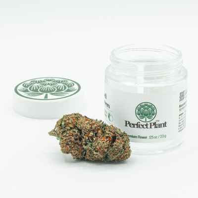 OG Kush THCa Flower