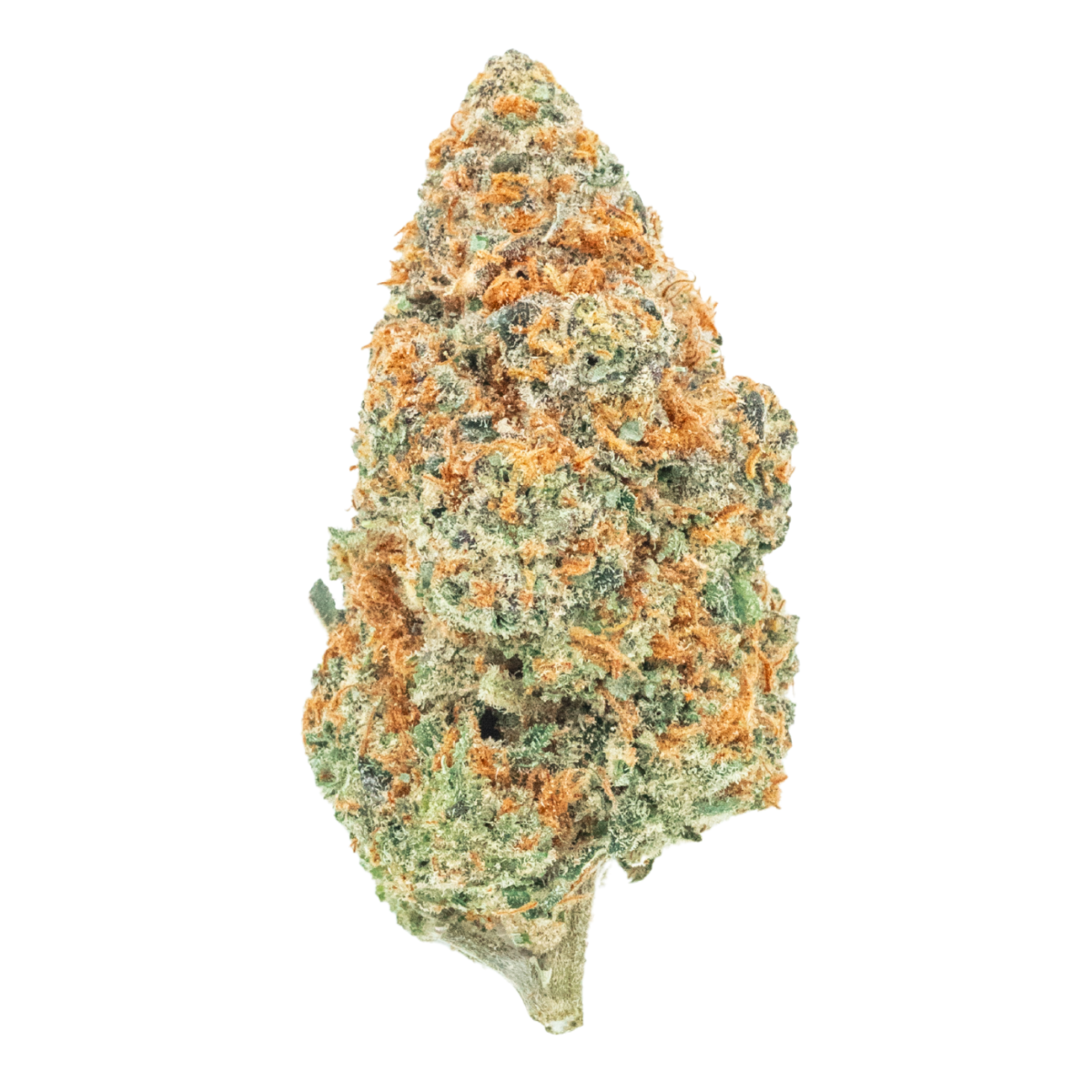 Orange Push Pop (THCa)