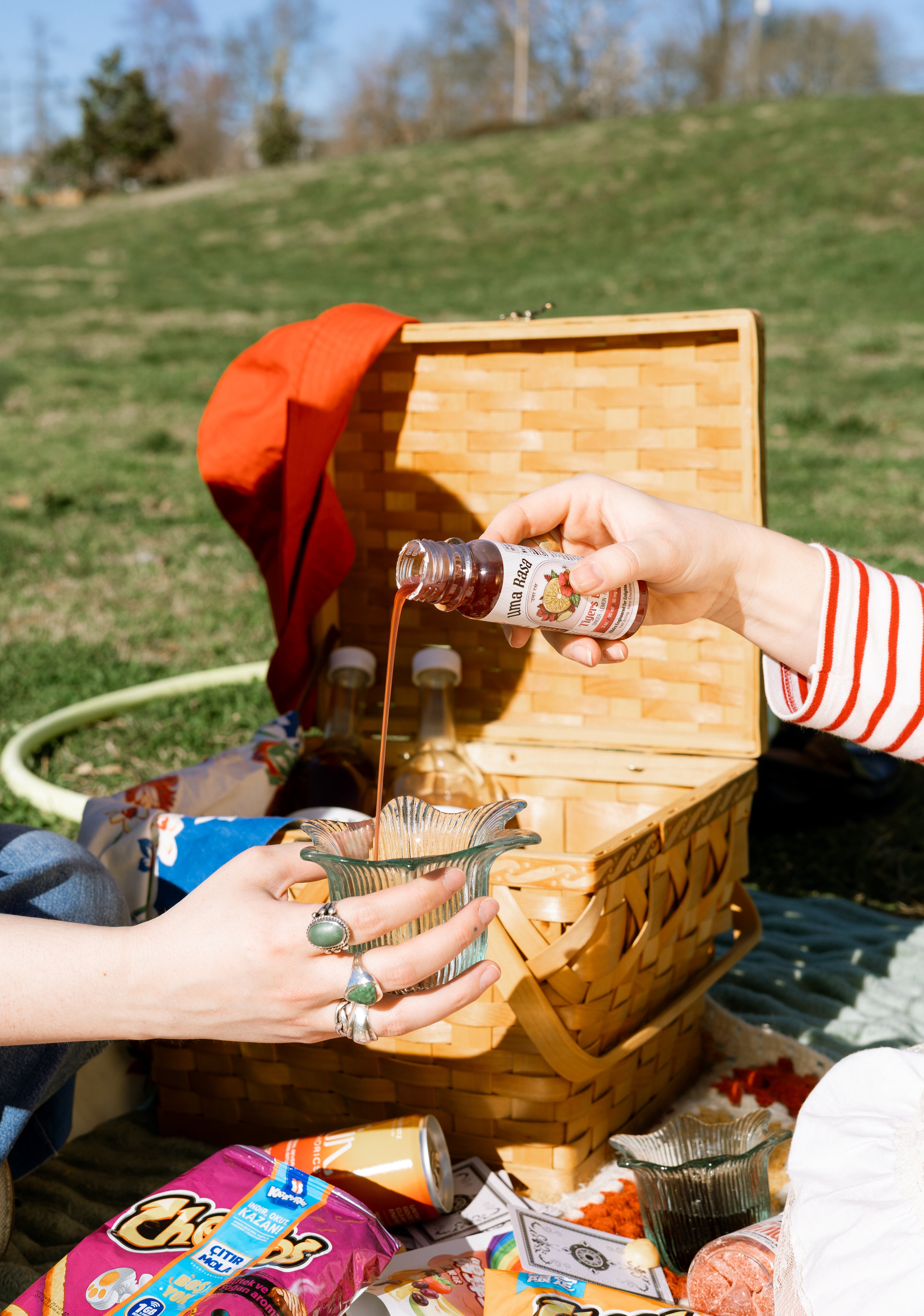Perfect Plant March Picnic Shoot