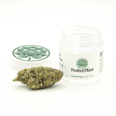 Poison Party THCa Flower
