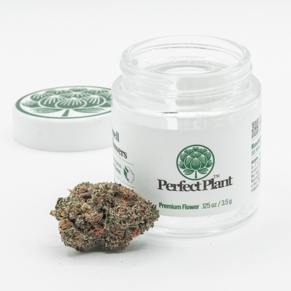 Purple Ghost Candy