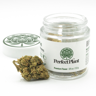 Secret Cookies THCa Flower by perfect Plant