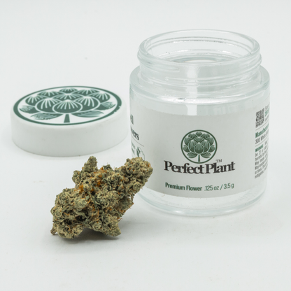 Skywalker OG THCa Flower