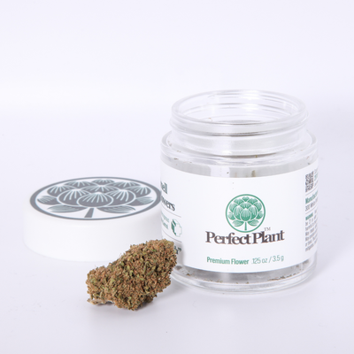 Strawberry Cookies CBD Flower